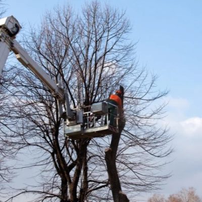 Travaux-en-hauteur-1